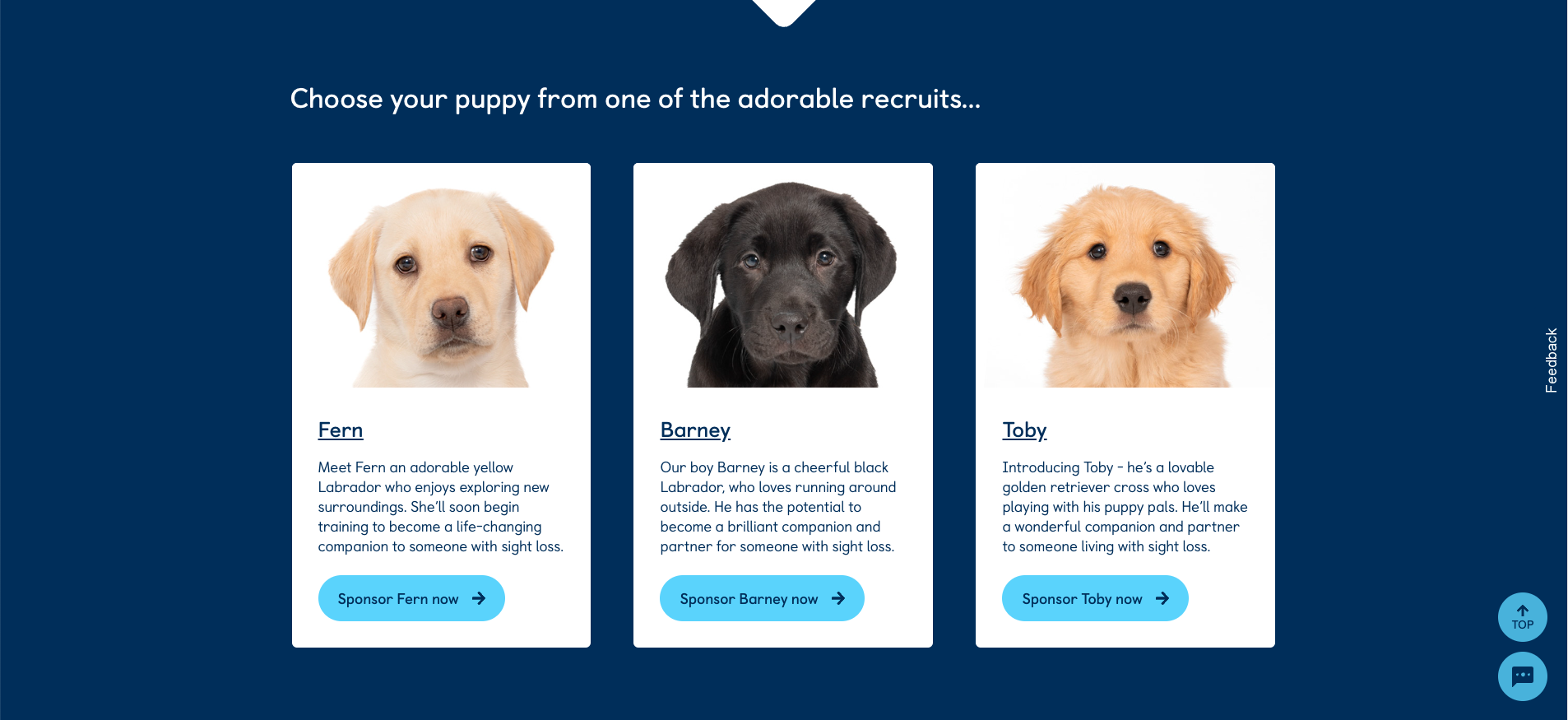 Screenshot from the Guide Dogs charity website showing 3 puppies, or 'new recruits'.